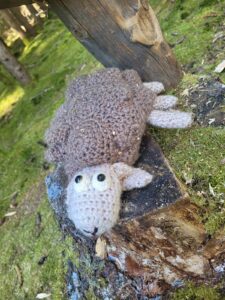 IMG-20250404-WA0039